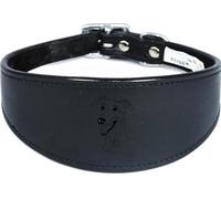 Sighthound Leather Collar, Padded Suede, Wide, Handmade, for Whippet and Greyhound NL1