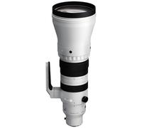 Sigma 300-600mm f4 DG OS Sports Lens for L-Mount