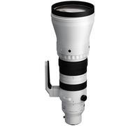 Sigma 300-600mm F4 DG OS Sports Lens - Sony E-mount