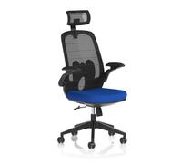 Sigma Executive Bespoke Fabric Seat Stevia Blue Mesh Chair with Folding Arms