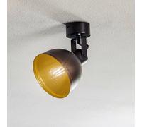SIGMA Trial ceiling light, 1-bulb, black/gold