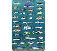 Sign Game Fish Of North America Knowledge Metal Signs Wall Iron Decoration For Garage Garden Kitchen Man Cave M