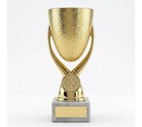 Sign Print Lab Egg Cup Bowl Award Trophy 16cm (6 1/4") - Gold, Silver or Bronze Winner Prize Cup, Plastic & Metal Trophy for Sports, School, Club Competitions & Awards