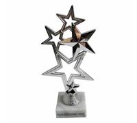 Sign Print Lab Star Trophy 19cm Gold Silver Achievement Award with Free Engraving, Winner Trophy for Kids Students Sports Academic Excellence Competitions School Events