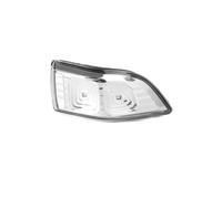 Signal Turn Signal For Kia For Sedona For Carnival 2010 2011 2012 2013 2014 876244D000 876144D000 Car Side Mirror Light Turn Signal Light Amber Indicators Dynamic Turn Signal(Right)