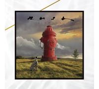 Signals 40th Anniversary Super Deluxe Ed