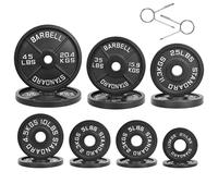 Signature Fitness BalanceFrom Cast Iron Plate Weight Plate for Strength Training and Weightlifting, Olympic Size, 2-Inch Center, 45LB Single