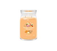 Signature Large Jar Candle - Mango Ice Cream 567g Yankee Candle Orange DO NOT USE - 567 g