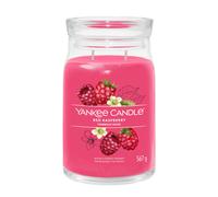 Yankee Candle Red Raspberry scented candle I. Signature 567 g