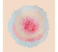 Signe Marie Rustad When Words Flew Freely (Vinyl) 12" Album