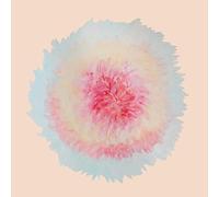 Signe Marie Rustad When Words Flew Freely (Vinyl) 12" Album