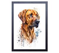 Signed by the Stars Art Print: Vivid Fine Art of Rhodesian Ridgeback Dog (A4, 29.7 x 21 cm, Matte Finish, Wall Mount, Realistic Style, Living Room)