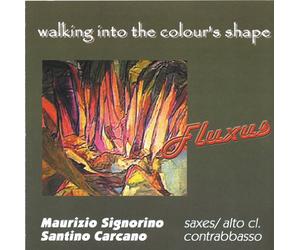 Signorino Maurizio & Carcano Santino - WALIKING INTO THE COLOUR'S SHAPE