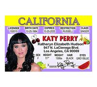 Signs 4 Fun Katy Perry's Driver's License