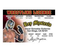 Signs 4 Fun Rey Mysterio's, Authentic-Looking Novelty Drivers License, Credit Card Size