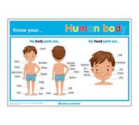 Signs 4 Learning know Your Human Body A2 Poster, Premium, 420mm x 594mm