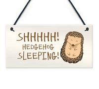 Signs Plaques Funny Hedgehog Sign Garden Plaques Hedgehog Sleeping Outdoor House Decor
