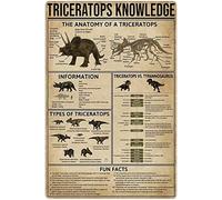 Signs Triceratops Knowledge Triceratops Infographic Dinosaur Encyclopedia Tin Sign Vintage Plaque For Cafe Kitchen Indoor Garden M
