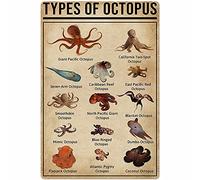 Signs Types Of Octo Pus Metal Signs Wall Plaques For Dining Indoor Pub Bar S