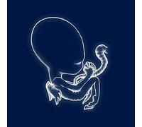Sigur Ros Agaetis Byrjun Double LP Vinyl NEW
