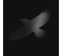 Sigur Rós Odin's Raven Magic (Vinyl) 12" Album