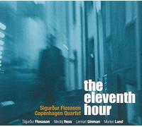 Sigurdur Flosason - The Eleventh Hour
