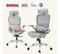 SIHOO B100 Ultra Ergonomic Office Chair， Mesh Office Chair with Adaptive Lumbar Support， Computer Chair with Wide Headrest， Desk Chair with 360° Rotatable Flip-Up Armrests， Light Grey