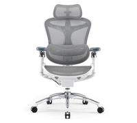SIHOO Doro C300 Pro Ergonomic Office Chair with Ultra-Soft 6D Armrests, Dynamic Lumbar Support, Seat Depth Adjustment and Adjustable Backrest Desk Chair for Home Office (White)