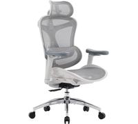 SIHOO Doro C300 Ergonomic Office Chair with Ultra Soft 3D Armrests, Dynamic Lumbar Support for Home Office Chair, Adjustable Backrest Desk Chair (White)