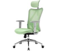 SIHOO M18 Ergonomic Office Chair, Computer Desk Chair with Adjustable Headrest and Lumbar Support, High Back Executive Swivel Chair for Home Office (Morandi green)