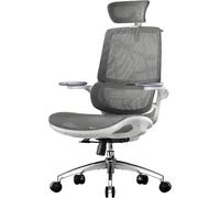 SIHOO M59AS Ergonomic Office Chair, Desk Chair with 3D Coordinated Flip-up Armrests, Computer Chair with Dual Back Design and Adaptive Dynamic Lumbar Support(Grey)