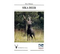 Sika Deer