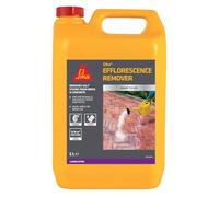 Everbuild Salt Away Spray – Salt Remover for Bricks, Stone & Concrete – 5 L