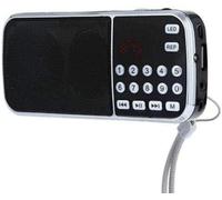 Sikhi Gurbani Radio Player Sikh Japji Sahib Nitnem Banis Akhand Path Sukhmani Sehaj Path Anand Sahib 1300 Tracks over 1000 Gurbani byOnlineSikhStore