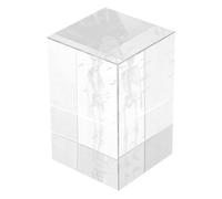 SILENRADAWN Crystal Human Anatomy Study Cube with Internal Engraving and Fine Craftsmanship, Unique 3d Design Science Display for Students, for Office Display or Home Decor