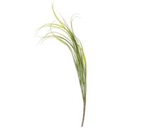 SILENRADAWN Fake Greenery Stems for Home Decoration 1 Bundle Orchid Grass Artificial Grass Strong Durability and Never Fade Material and Creating A Comfortable Living Environment