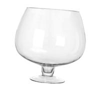 SILENRADAWN Transparent Glass Fish Tank Multi-function Delicate Aquarium for Goldfish Desktop Decorative Ecological Flowerpot and Tabletop Aquarium for Home Office Use