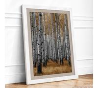 Silent Birch Grove Scandinavian Framed Wall Art Print A4 (29.7×21cm) White, Wall Decor for Living Room, Bedroom, Office & Home, Ready to Hang, Art Gift