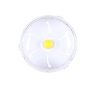 Silent Exercise Wheel for Hamsters and Small Durable Cage Accessory Activity Toy Disc Runner (Clear, 12cm)