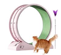 Silent Kitten Running Bike - Fitness Equipment for Kittens, Large Cat Gear, Training Wheel for Cats with Removable Running Mat and Teaser, Suitable for Most Cats, Cat Exercise Wheel for the