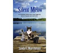 Silent Meow: An unwanted kitten and a man suffering from a tragedy save each other