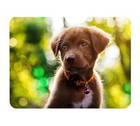 Silent Monsters Mouse Mat Medium 14 x 10 inches / 36 x 25 cm, Dog Puppy, Lasercut Edges, washable & rollable Mouse Pad, Gaming Home Office Mousemat, Mousepad non-slip & quiet, Desk Mat