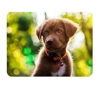 Silent Monsters Mouse Mat Small 10 x 8 inches / 24 x 20 cm, Dog Puppy, Lasercut Edges, washable & rollable Mouse Pad, Gaming Home Office Mousemat, Mousepad non-slip & quiet, Desk Mat