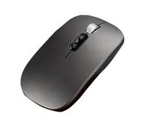 Silent Wireless - 2.4G USB AI Voice Typing, Ergonomic 1600DPI Pointer | Voice Recognition Input With Language Translator For Office, PC Computer Laptop Tasks