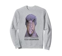 Silently Correcting Your Grammar Sweatshirt