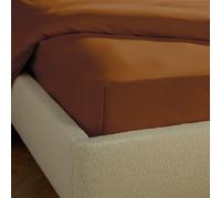 Silentnight Supersoft Plain Rust Fitted Sheet - King size