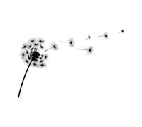 Silhouette of a Simple Single Dandelion Lettering Decals 36x55.4cm Art Decoration Black