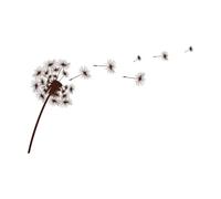 Silhouette of a Simple Single Dandelion Mural and Wall Vinyl Decal 36x55.4cm Waterproof Coffee