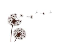 Silhouette of a Simple Single Dandelion on a Lettering Decals 36x52.1cm Personalized Customization Coffee