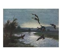 Silhouettes, Sir Peter Scott - Medici Print